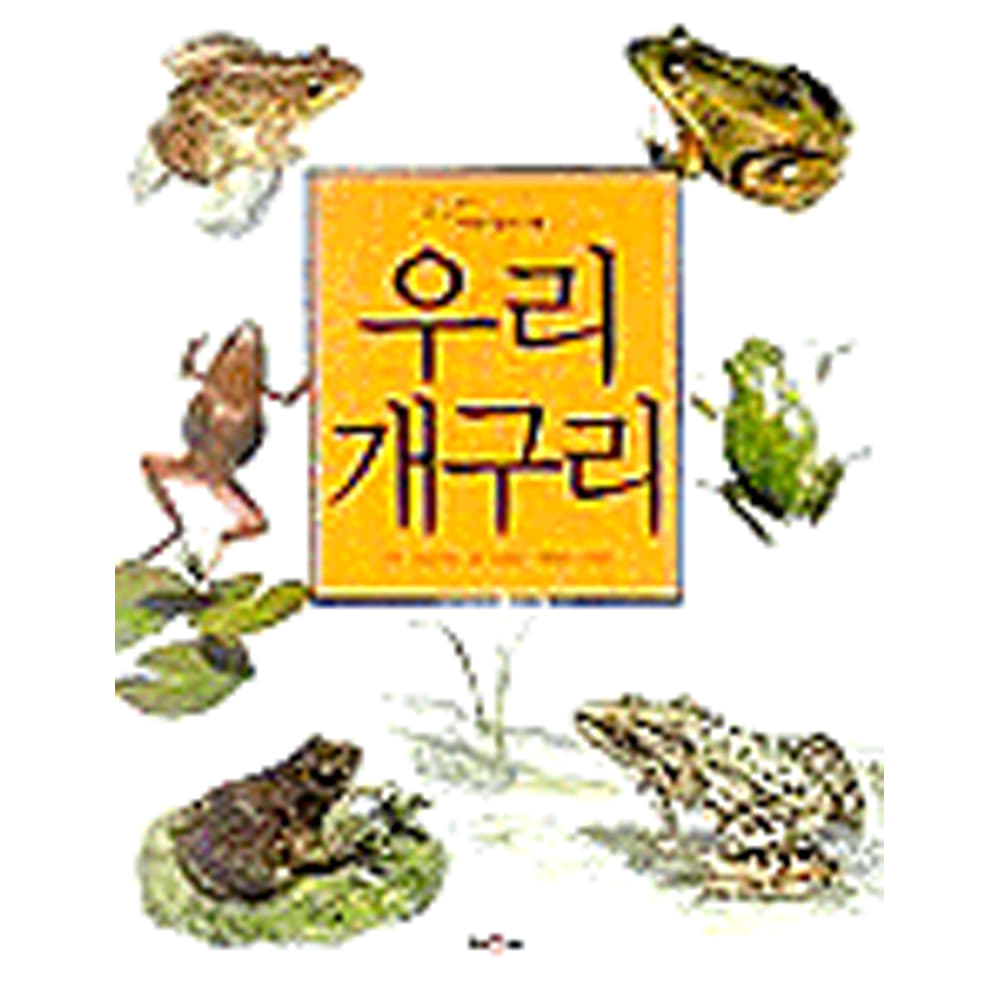 채우리: 우리 개구리(양장)-어린이생태기행003